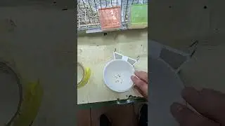 SI NO QUIERES Q TUS P&Aacute;JAROS TIREN EL NIDO UTILIZA ESTO