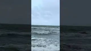 thepowerofnature #manandsea #pelicanflight #stormwithin #naturemagic