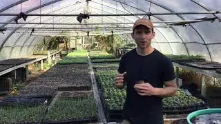 Virtual School Tour- Greenhouse