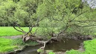 d'Kierf zu &Auml;ischer