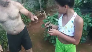 Plantando mudinhas