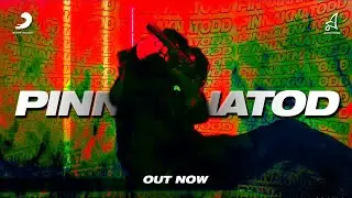 PINNAK NA TOD | RAGA | UZI | CREVIXA | MUSIC VIDEO