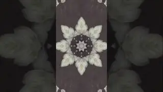 Patterns Formed by kaleidoscope..😯&hearts;️👍 #kaleidoscope #pattern