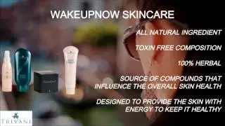 Wake Up Now Business Overview