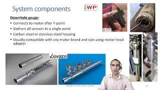 Electrical Submersible Pump Gauge