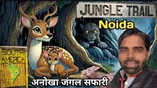 Jungle Trail in Noida भारत में कबाड़ से बना पहला सबसे अनोखा जंगल सफारी Jungle Trail Park Noida 
