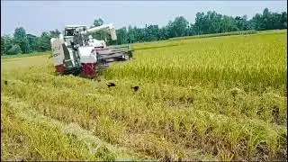 GAM HARVESTER 88 HP POWER