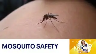 Did you Know?: Mosquito safety | FOX 7 Austin