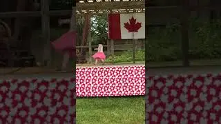 Canada Day Party