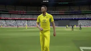 Playing a Five Over Match In Cricket 24