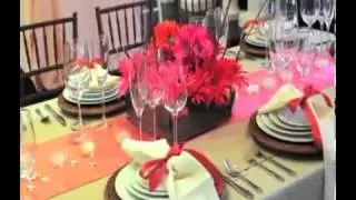 Williams Party Rentals - San Jose Party Supplies and Equipment, Party Rentals Santa Clara County