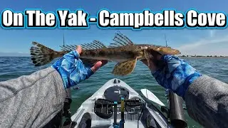 On The Yak - Campbells Cove