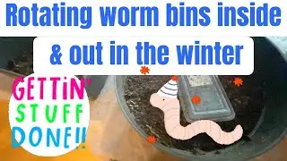 Worm Bin Tip: Rotating worm bins inside & out through the winter