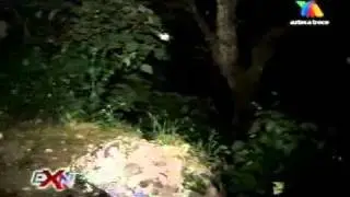 extranormal cementerio guatemala