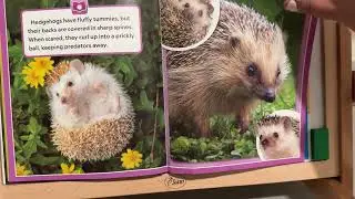 Cute Critters - NatGeo Kids MeReader