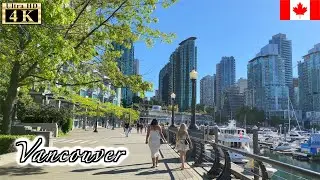 🇨🇦【4K】Vancouver Summer Walk -  Seawall Water Walk (June, 2021)