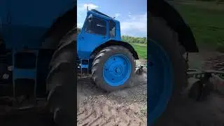 #мтз82 #automobile #тракторспб #агротехнологии #farming #agro #беларусь #мтз #82 #80 #плуг