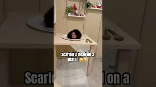 Scarlett's HEAD on a PLATE! 🤣 #museum #scarlett #funny