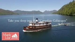 Stunning Aerial Footage Haida Gwaii, BC: Gwaii Haanas, Windy Bay & Classic BC Ships