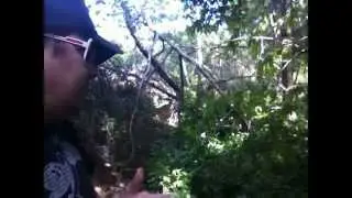 TheDailyWoo - 281 (4/8/13) Charles Manson Snake Attack !