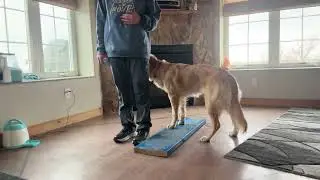 More Body awareness w/ Pet Geek 1/30/26