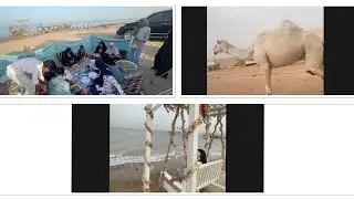 Welcome to Kuwait Shumaimah Desert 🐪🐪