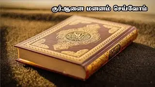 Holy Quran | SPEECH #school #shamrock #education #bayan #islamicvideo #quran #speech #hafiz