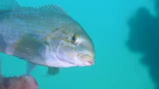 Busselton Jetty 22-12-2021