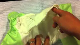 REVIEW: BumGenius Organic One-Size All-In-One Cloth Diaper