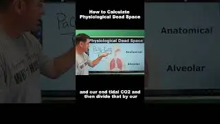 Future Respiratory Therapists: Dead Space Formula Explained