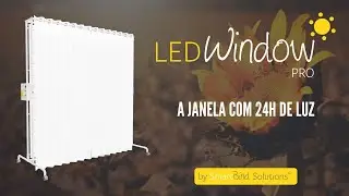 Conhe&ccedil;a a LED Window PRO, a Janela de LEDs da SmartBind