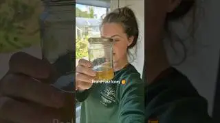 Real honey test 🍯