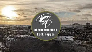 Fishing for cod in Northumberland competition