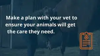 Large animal hurricane preparedness