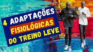 OS BENEF&Iacute;CIOS FISIOL&Oacute;GICOS DO TREINO LEVE: aumente sua capacidade aer&oacute;bia e corra mais r&aacute;pido!