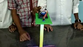 Insect trap system