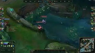 Zeri W bug