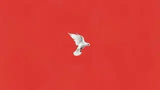 Migos - Higher We Go (Intro) (432Hz)