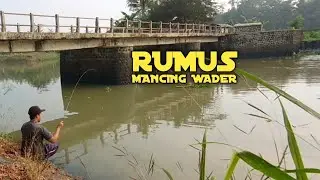 Seperti Ini Rumusnya Mancing Ikan Wader Pari di Sungai Pakai Joran Fiber Lentur (Micro Fishing)