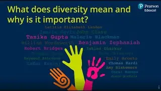 What does diversity mean and why is it important?