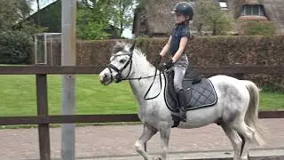 Paard & Vlog 19 Mijn nieuwe pony Pixel