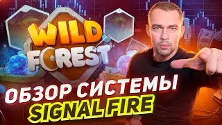 Новая система чек-инов в Wild Forest: Как заработать на Signal Fire!