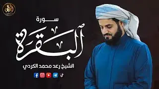 سورة البقرة || اروع تلاوة القارئ رعد محمد الكردي || لطرد الشياطين | تُبطل العين والحسد والسحر