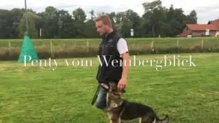 Penty vom Weinbergblick