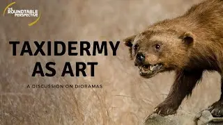 Giovanni Aloi on Taxidermy and Dioramas as Art