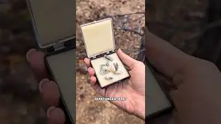 Какие открытия делали золотоискатели?