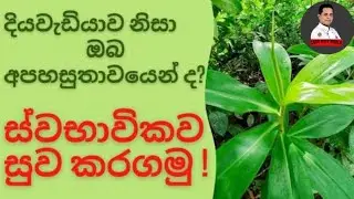 තෙබු කොළ සම්බෝල | Thebu kola sambola | Tabbouleh Sambal | Cook with world 
