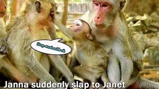 Good Job! Janna suddenly slap to Janet fast, when Janet waiting steal milk, Janet can't do anything