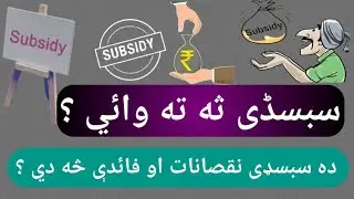 What is Subsidy? Subsidy explained by Nisar uddin in poshto