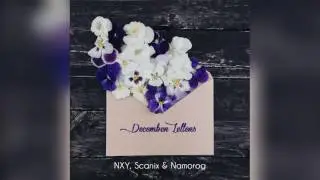 NXY, Scanix & Namorog - December Letters